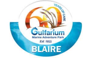 Custom Shaped 60th Anniversary Name Badges for Gulfarium