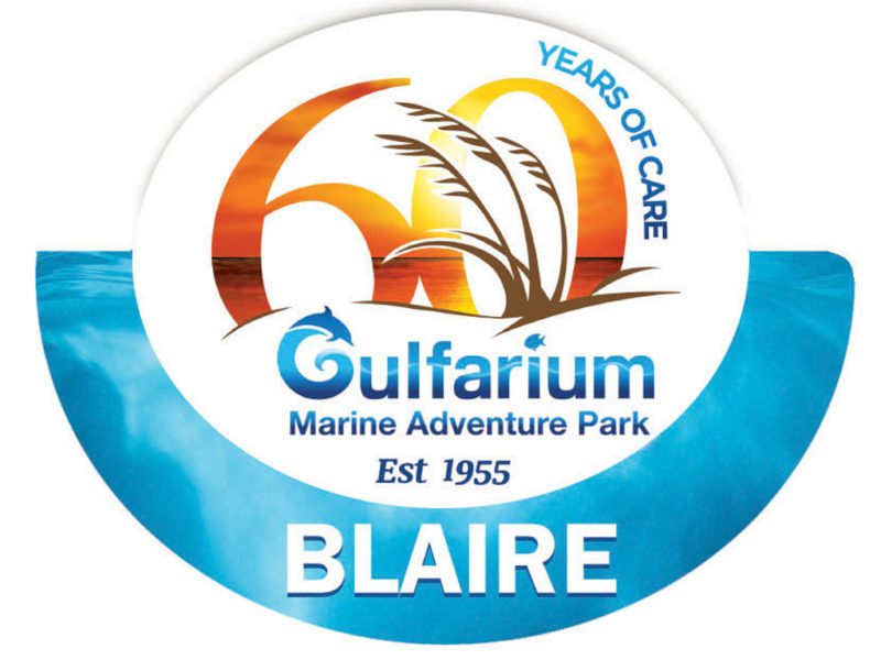 Custom Shaped 60th Anniversary Name Badges for Gulfarium